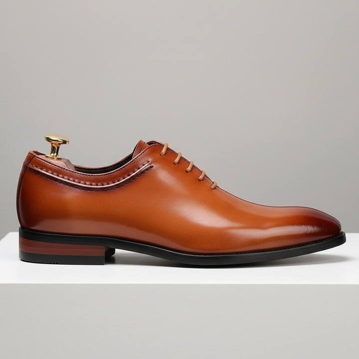 Aldevan Cowhide Leather Shoes